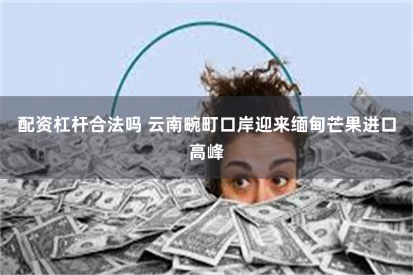 配资杠杆合法吗 云南畹町口岸迎来缅甸芒果进口高峰